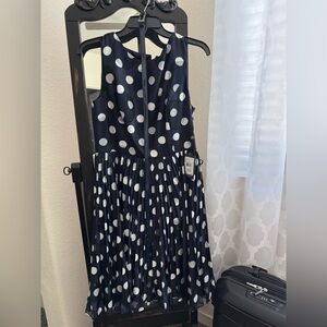 Express Navy Dress with White Dots
